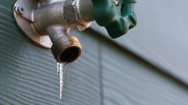 Best Best Plumbers Near Me  in Grenelefe, FL